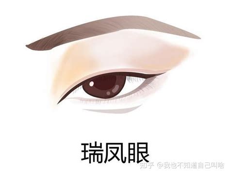 瑞鳳眼女|中国人常见的10种眼型，你是哪一种？